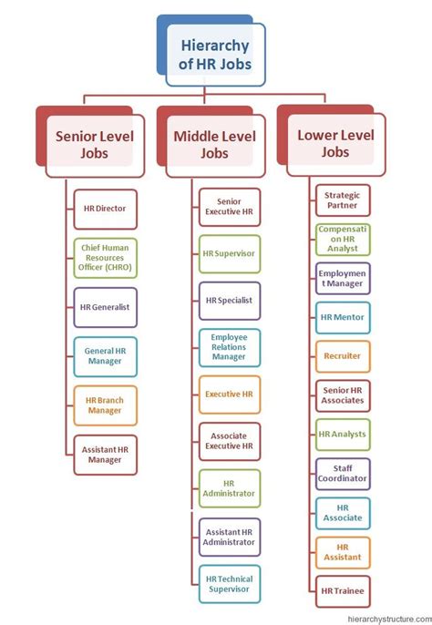 The Hierarchy of HR Job Levels.These are the dedicated professionals who are responsible to take ...