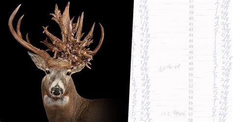 The Stories Behind the Biggest Whitetail Deer—EVER | The HuntingPA.com ...