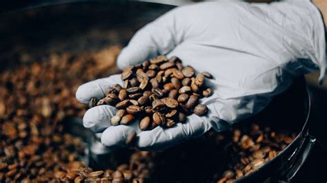 Medium Roast Coffee: A Guide to Understanding and Enjoying Medium Roasted Beans - Coffeenatics