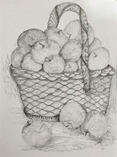 Basket full of Apples by Amrita Tiwary | Culture art, Art, Humanoid sketch