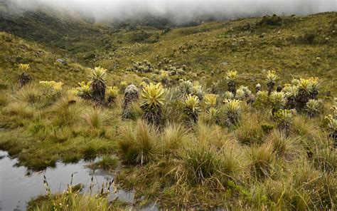 Adapting to a Changing Climate in Colombia