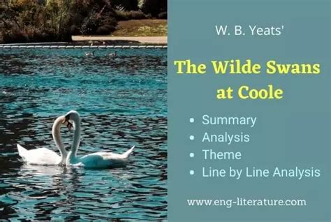 The Wild Swans at Coole | Summary, Analysis, Theme - All About English Literature