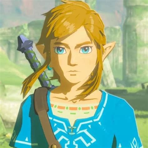 The Legend Of Zelda Breath Of The Wild Link