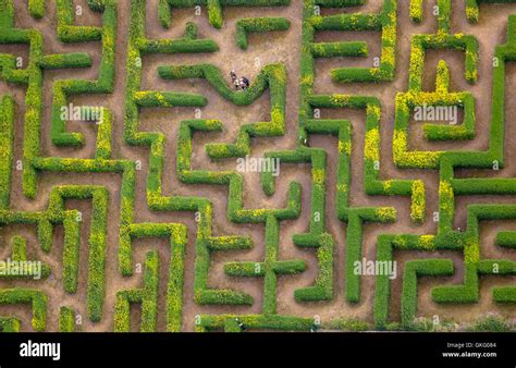 Aerial view, hedge maze, labyrinth, maze Bollewick, Bollewick ...