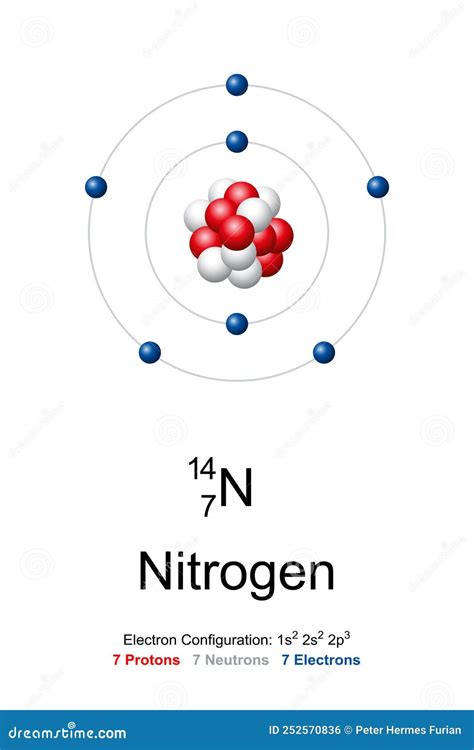 Nitrogen, Atom Model of Nitrogen-14 with 7 Protons, 7 Neutrons and 7 Electrons Stock Vector ...