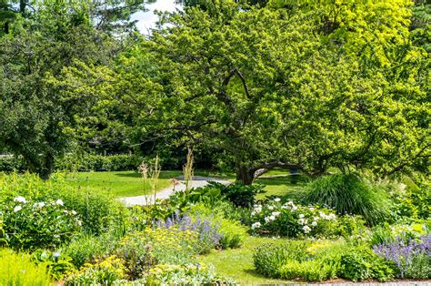 The Berkshire Botanical Garden - North Country Reflections