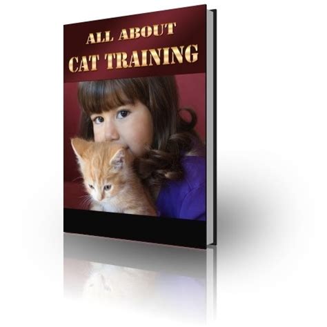 Cat Book