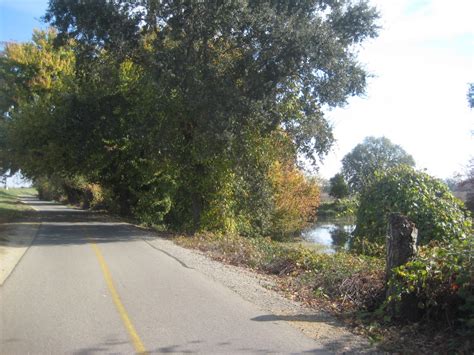 Wherever the Road Leads: Sacramento - American River Bike Trail