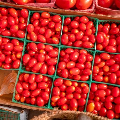 Venice Farmers Market - Visit Venice FL