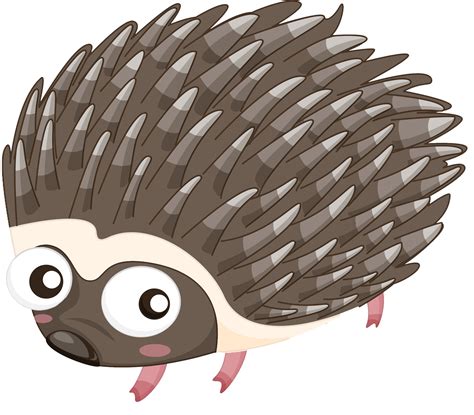 Hedgehog clipart porcupine, Hedgehog porcupine Transparent FREE for download on WebStockReview 2024