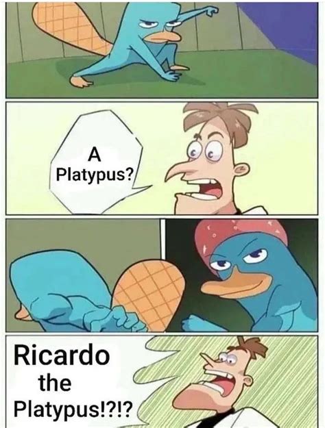 Perry The Platypus Meme