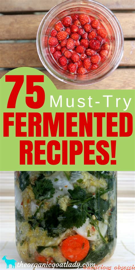 75 Fermented Foods Recipes! - The Organic Goat Lady