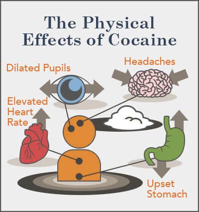 How Cocaine Affects the Body