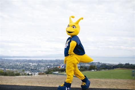 Our Mascot: Sammy the Banana Slug – UC Santa Cruz