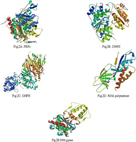 The three-dimensional (3D) structures of 5 enzymes (receptors | Download Scientific Diagram