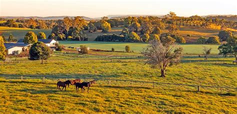 Quiet Countryside Stays in Australia – Best Rural Retreats to Book