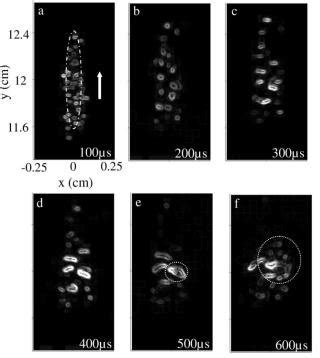 1. High-speed images showing the dynamics of cavitation bubbles ...