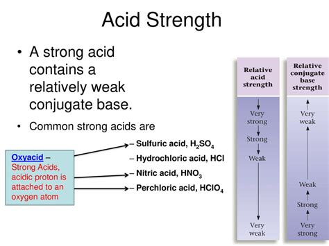 Warm-up What are some properties of acids and bases? - ppt download