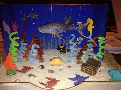 Carter's Whale Shark Diorama-3rd grade project | Habitats projects, Ecosystems projects ...