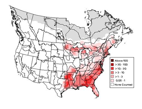 Pine Warbler - Early Winter Range Map