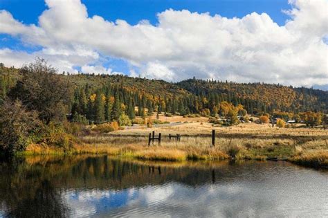 Plumas County’s vivid beauty competes for best fall color photography - Plumas News