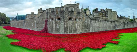 Wallpaper : red, panorama, London, tower, memorial, panoramic, poppy, poppies, ww1 ...