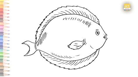 Flounder Fish Drawing