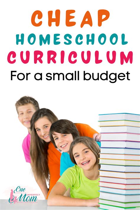 When you first start to homeschool one of the most important decisions you will make is to ...