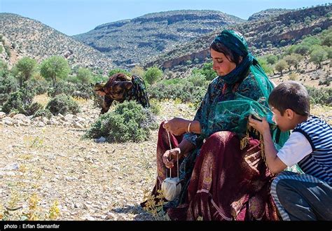 Photos: Qashqai people: meeting authentic nomads of Iran