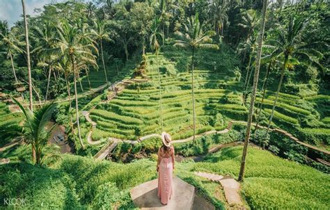 Ubud Tour All Inclusive | Bali Tour Guide | Go Avontur