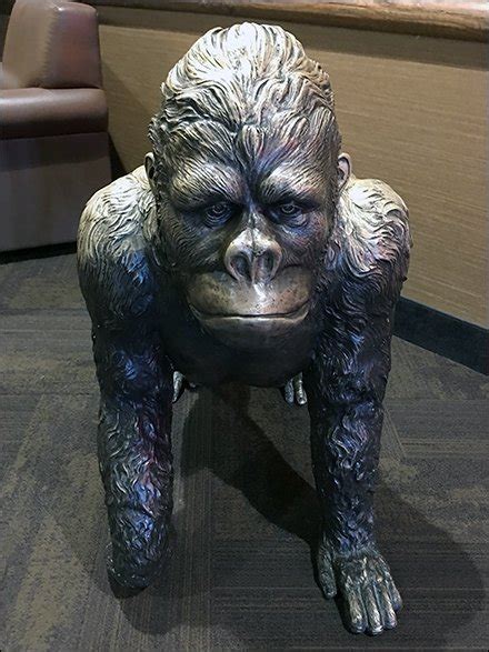 Gorilla Bench Seating in Hospitality Retail – Fixtures Close Up