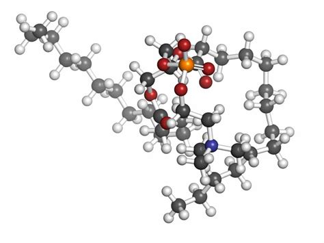 Phosphatidylcholine: Benefits, Dosing, Where To Buy, And More!