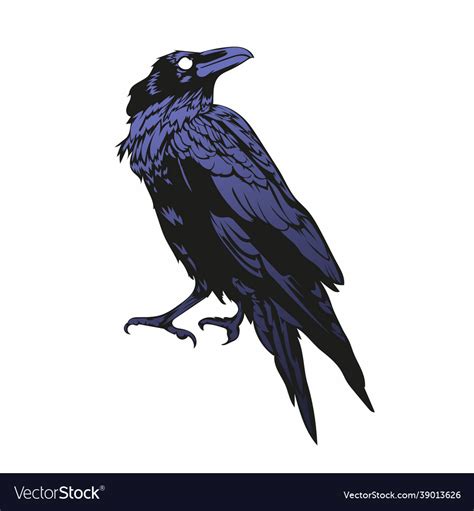 Evil Raven Drawing