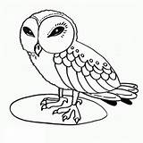 Owl Coloring Pages  Kidsuki sketch template