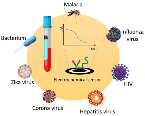 Chemosensors | Free Full-Text | Electrochemical Sensors and Their Applications: A Review