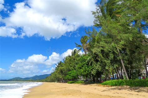 Beach in Palm Cove, Cairns, Australia Stock Photo - Image of landscape, beauty: 181232300