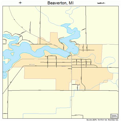 Beaverton Michigan Street Map 2606660