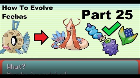 Let's Play: Pokemon Emerald Part 25 - How To Evolve Feebas! - YouTube