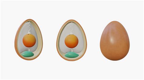 Anatomy Of Bird Egg Model - TurboSquid 2035236