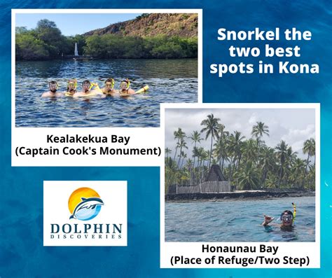 Big Island Snorkel Tours - Kona Snorkel | Snorkeling, Big island, Best ...