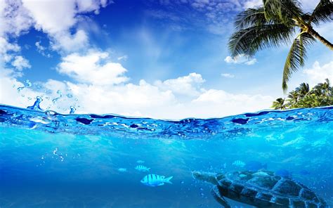 Swimming underwater HD desktop wallpaper : Widescreen : High Definition : Fullscreen