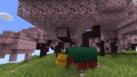 Minecraft gets a Cherry Blossom biome in update 1.20 - Video Games on Sports Illustrated