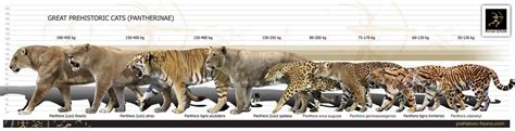 Блогът на valentint :: Encyclopedia Largest prehistoric animals Vol. 1 Vertebrates part1 Mammals ...