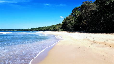 Puerto viejo beaches - rabbitrety