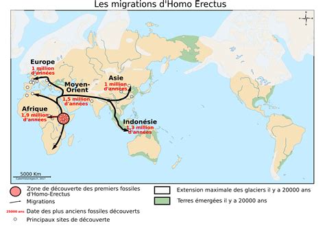 Les migrations d’Homo Erectus – Cyberhistoiregeo-Carto