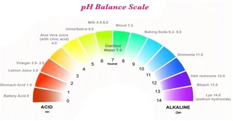 Understanding the pH Balance of Coffee: An Essential Guide for Coffee Lovers - Acidity in Coffee