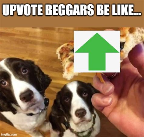 Upvote beggars be like... - Imgflip