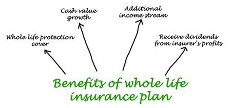 The Pros and Cons of Whole Life Insurance Explained