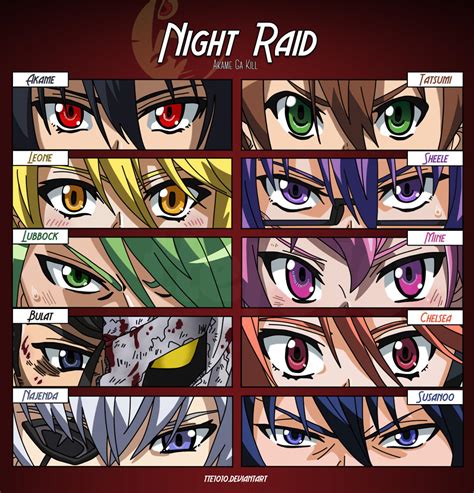 Akame Ga Kill : Night Raid by tte1010 on DeviantArt