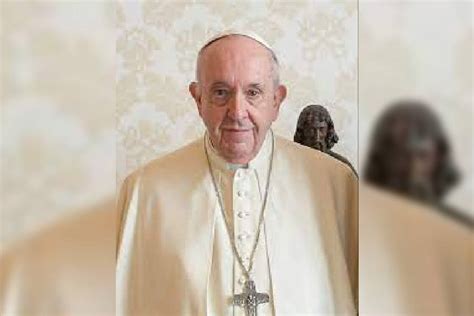 21 new cardinal | Pope Francis elevates 21 new cardinals, bolstering his support in Vatican City ...